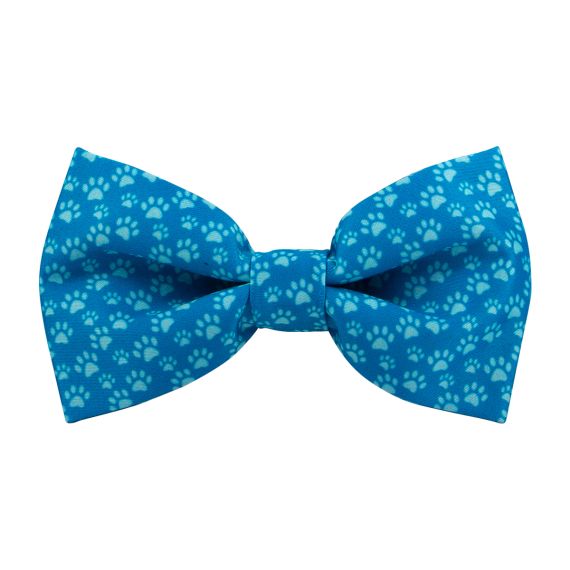 Blue Dr Zoo Bow Tie with sky blue paw prints.